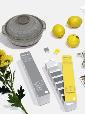 pantone-color-of-the-year-2021-for-home-decor (1)